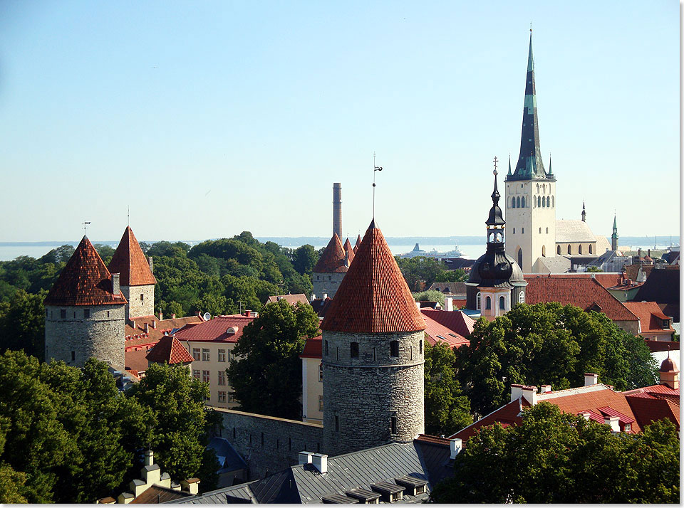ber den Dchern der Altstadt von Tallinn, der Hauptstadt von Estland.