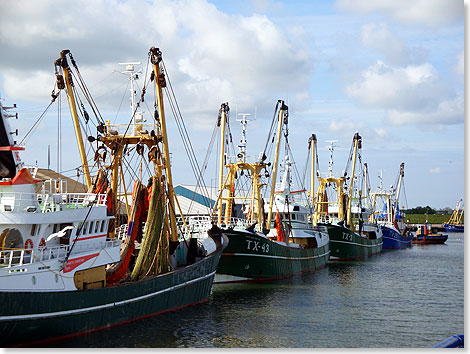 Ruhe am Wochenende. Die Fischkutter, die die Woche ber auf der 
	Doggerbank fischen, haben zum Wochenende in ihrem Heimathafen Texel 
	festgemacht.