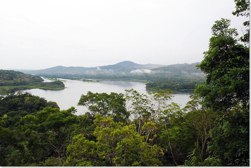 Blick 
	  auf den Panamakanal und den Gatnsee vom Aussichtsturm des 
	  Gamboa-Regenwaldes