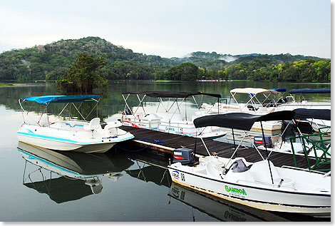 Vom 
	Gamboa Rainforest Resort starten tglich Ausflugsboote