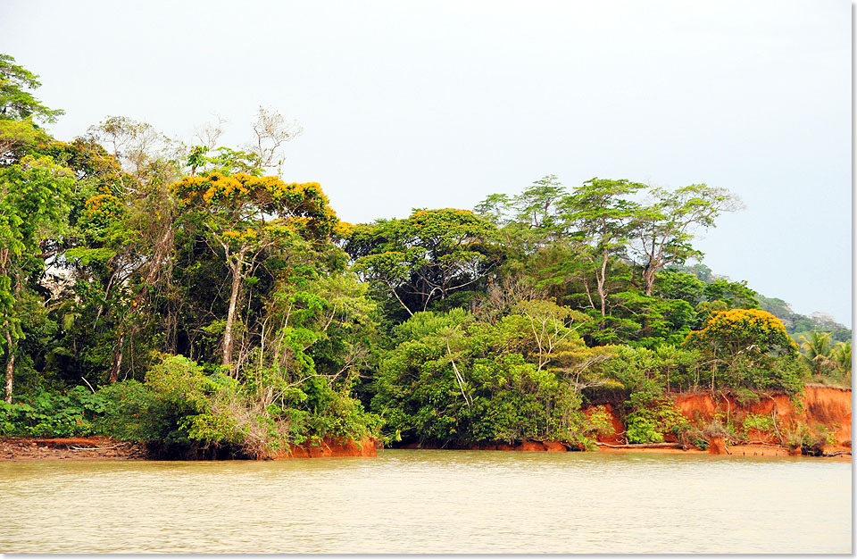 Die Insel Mono im Gatnsee