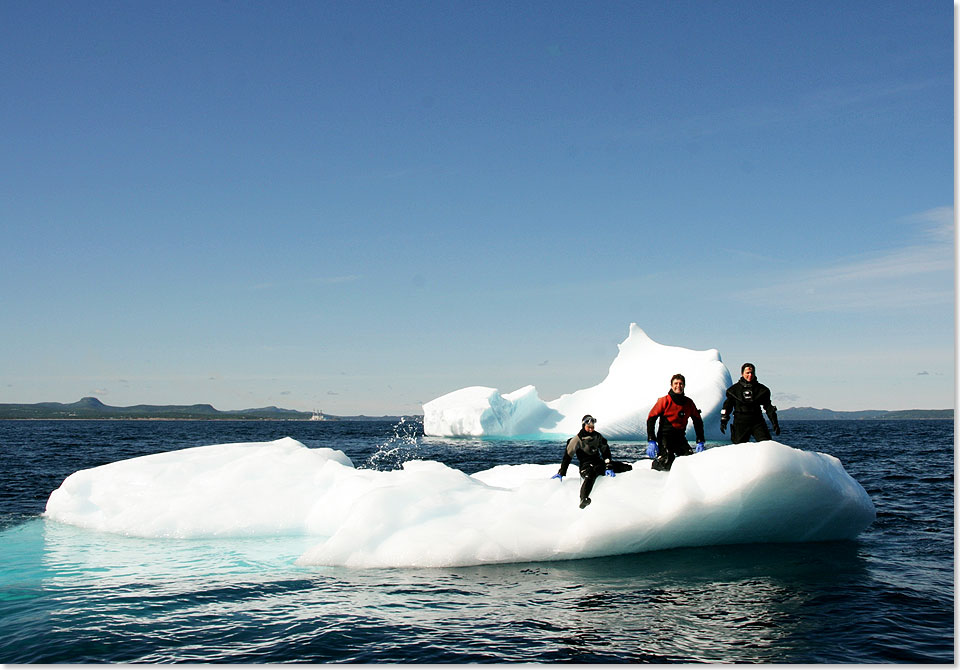 Drei Taucher genieen, auf einem Eisberg sitzend, die Sonne. 