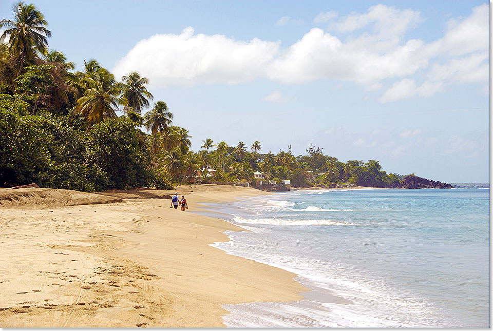  Das ruhige und im Vergleich zu seiner greren Schwesterninsel etwas vertrumte Tobago bietet herrliche Kulissen fr einen perfekten Karibik-Traumurlaub.
