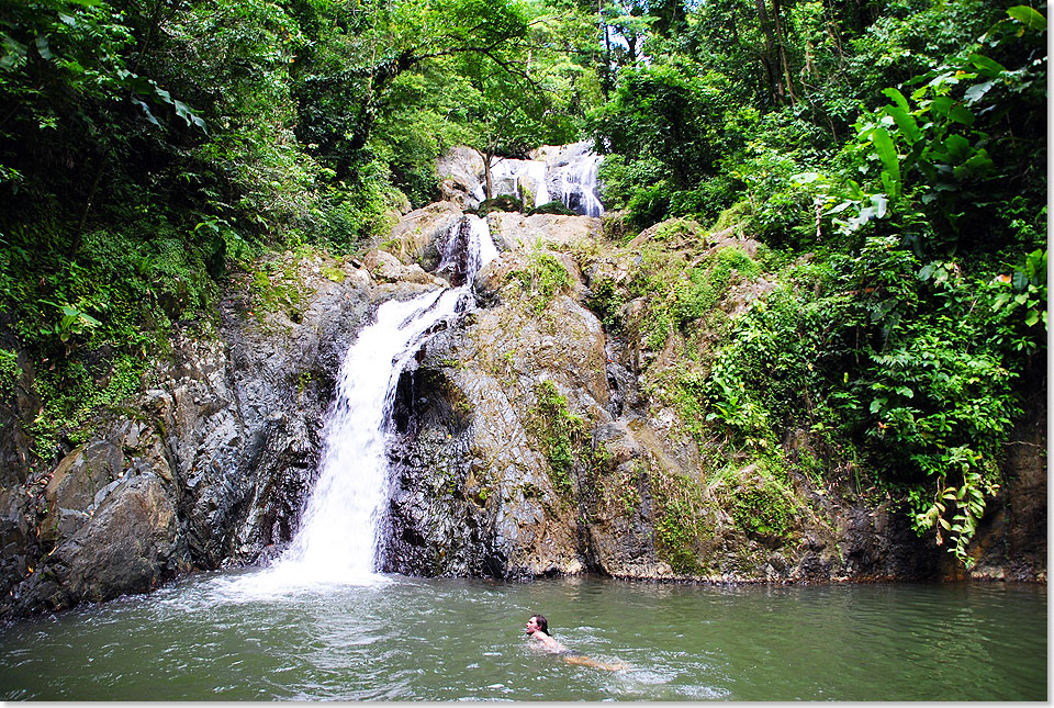  Argyle Waterfall ist einer von sechs groen und zahlreichen kleinen Wasserfllen, die sich ber den Felsen des Bergregenwaldes von Tobago ergieen und einen natrlichen Badepool bilden.