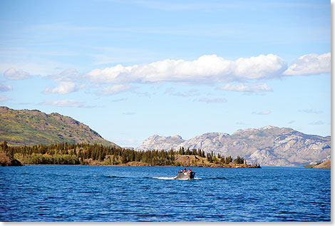 Wie vielerorts in Kanada sind auch die meisten Berge am Laberge-See namenlos. Diese hier gehren zum Big-Salmon-Gebirgszug, einem Teil der Pelly Mountains.