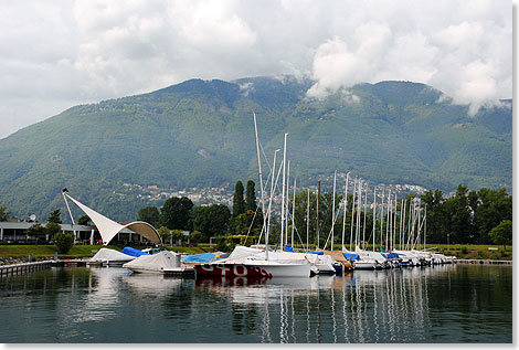 Der 
	Yachthafen von Ascona, Heimstatt des 1954 gegrndeten Yacht Club Ascona 
	(YCAs)  bekannt durch viele renommierte regionale, nationale wie 
	internationale Regatten.