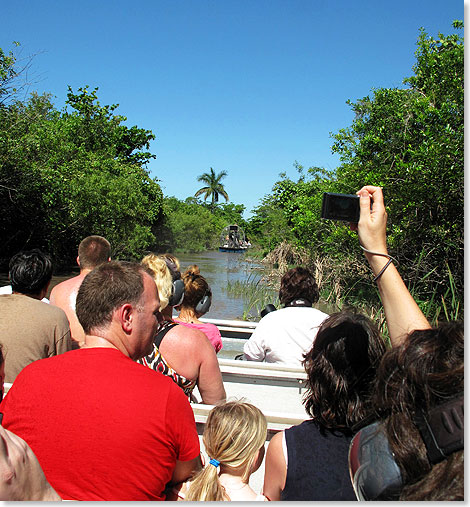 Der Klassiker in den Everglades: Von der Farm starten Airboats zu halbstndigen Fahrten durch die tropischen Smpfe. 