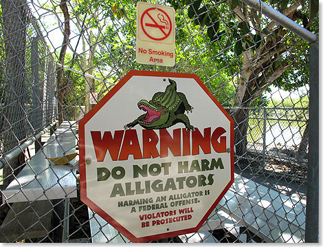 Die Everglades Alligator Farm liegt zwischen Miami und Key Largo mitten in den Smpfen. Hier wimmelt es von Schlangen, Alligatoren, Krokodilen und Kaimanen  Fttern strengstens verboten. 