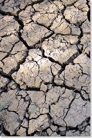  Hart und rissig ist der Boden jetzt whrend der Trockenzeit selbst im berschwemmungsland zwischen Blauem und Weiem Nil. 