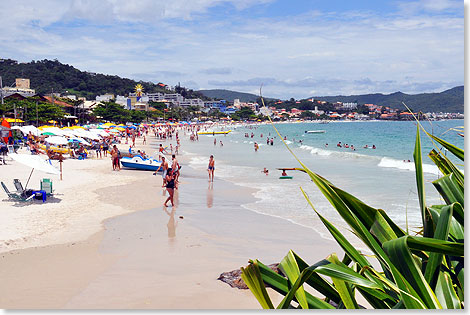 Weite Strnde auch in der Bucht des beliebten Badeortes Bombinhas, das ... 
