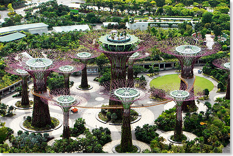 Blick von oben in die Botanischen Grten der Stadt. Bume wie aus einem futuristischen Film dienen als Kletterhilfe fr Dschungelpflanzen.