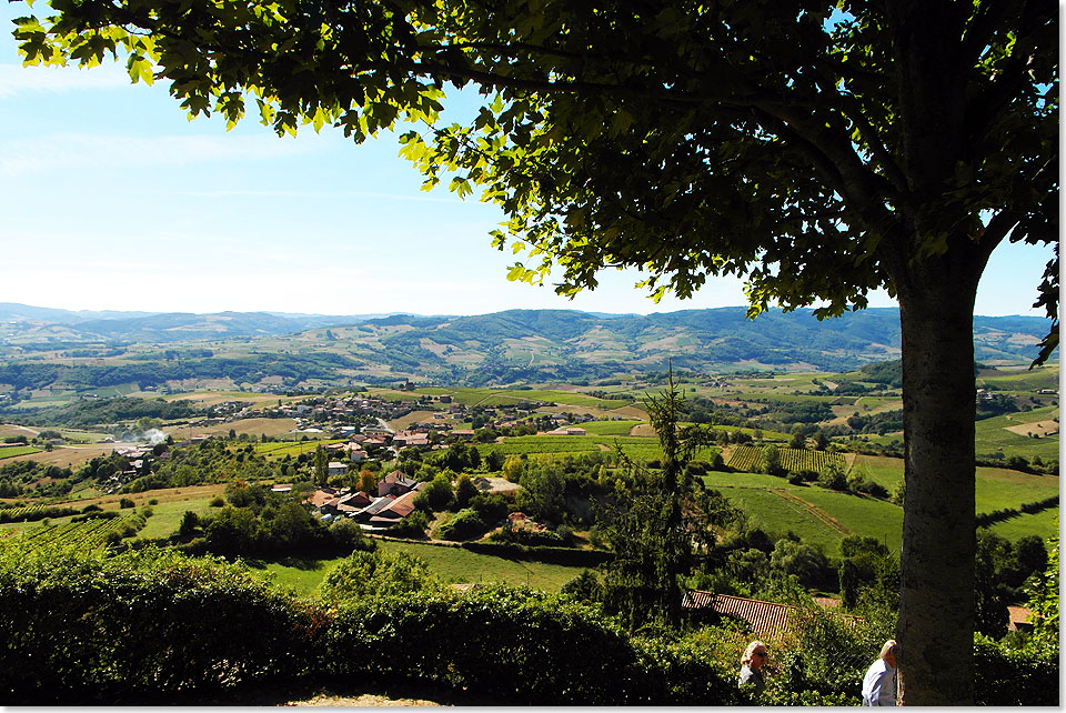 Sanfte Hgel einer Landschaft, in der Landwirtschaft und Weinbau betrieben werden.