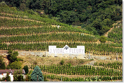 Hier wchst ein weltbekannter Wein. J. Vidal-Fleury gehrt zu den bekanntesten Winzern sdlich von Lyon.