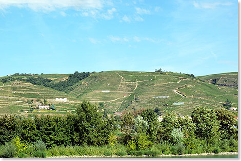 Wo die Reben der Grand Cru Weine an der Rhone wachsen, nennen groe Schilder in den Weinbergen auch die Winzer.