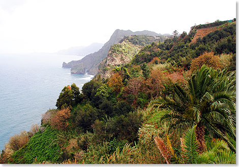 Wie fast berall fllt Madeira auch an seiner Nordostkste steil in den Atlantik ab. Sandstrnde gibt es auf der Hauptinsel so gut wie gar nicht. 