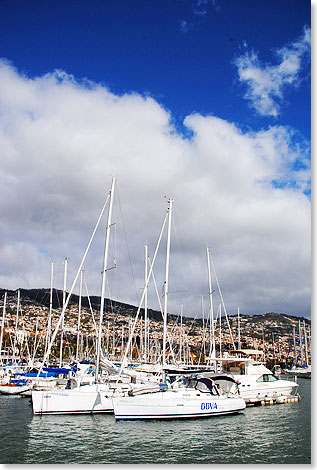 Der Atlantik rund um die Insel Madeira ist ein beliebtes Segelrevier. Wer als Segler den Atlantik berquert, whlt sie gern als Zwischenstation. 