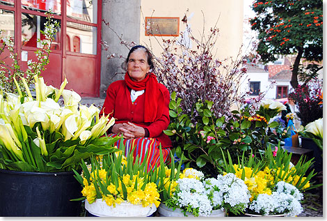 Einheimische Blumenhndlerin auf dem Markt von Funchal. 