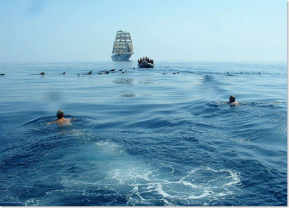 Die SEA CLOUD II ist umgeben von Walen.
