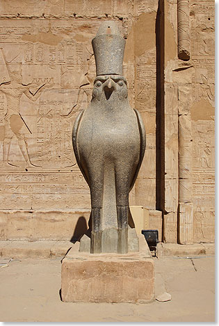 Die Statue des Hor-Behdeti im Horus Tempel.