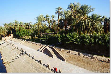 Der Anlieger der ZEINA liegt direkt an einem gepflegten Park mit schnen Palmen.