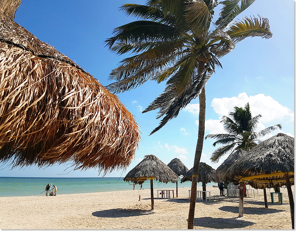 18118 NORDISABELLA PSW 135 Unter Palmen am schoenen Strand von Progreso Yukatan Mexiko