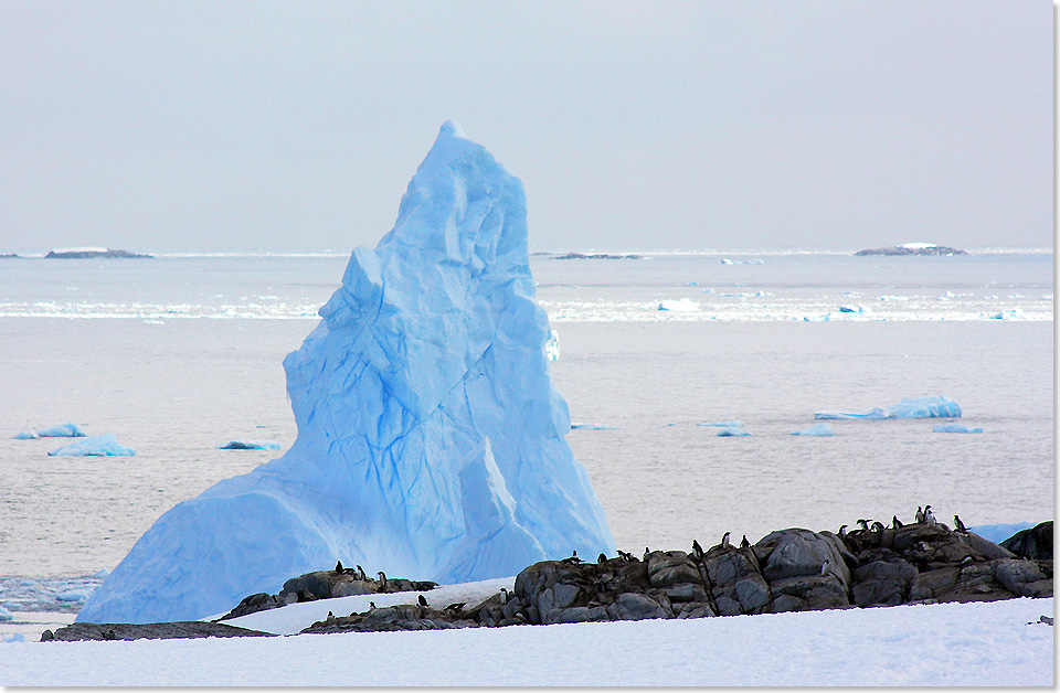 19105 Antarctica Air Cruise 3837 Foto Kast