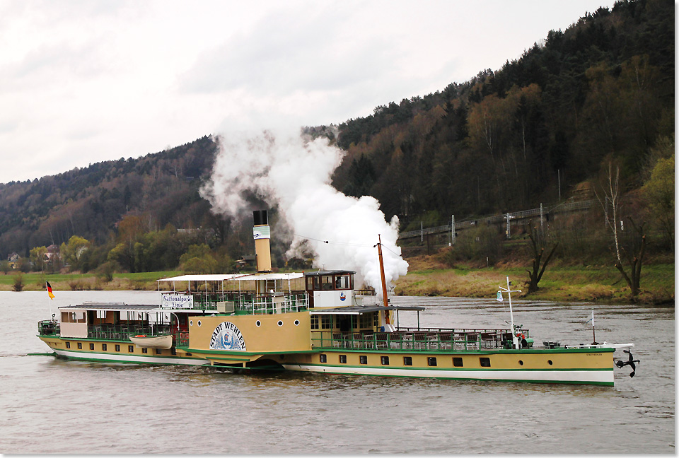 20114 20 Raddampfer STADT WEHLEN gruesst vor Bad Schandau