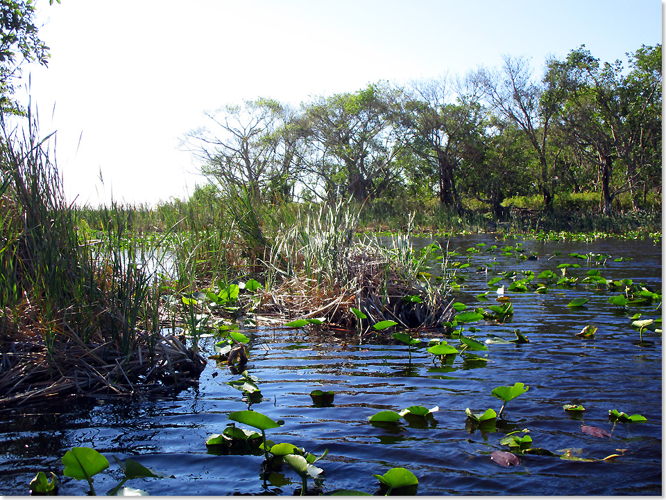 20106 37 Everglades24 2018 Kai Ortel