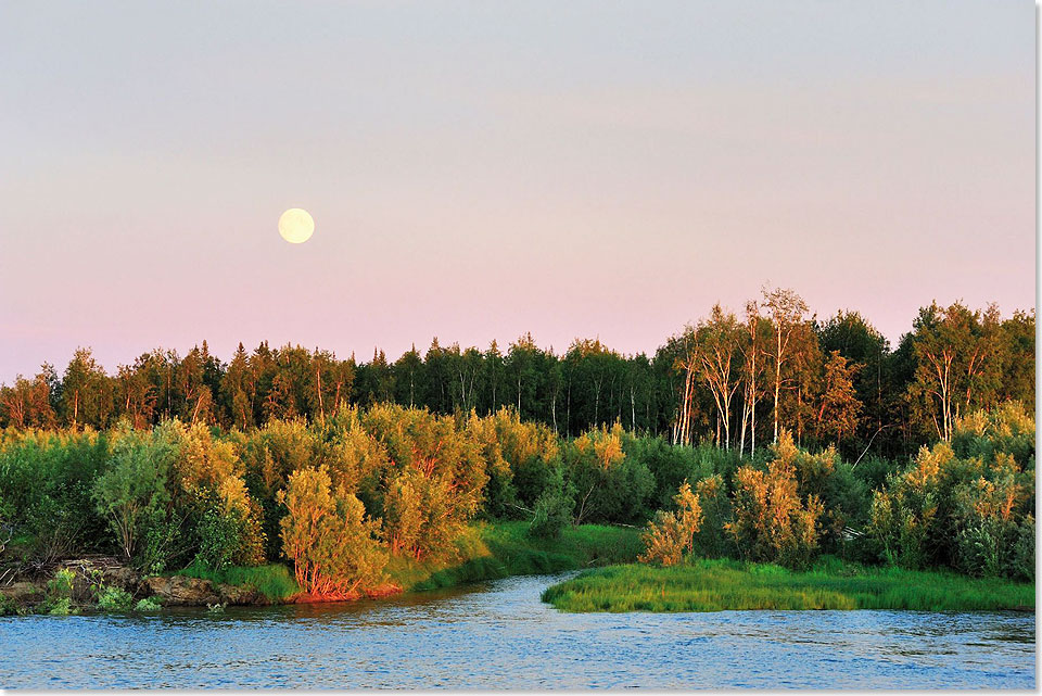 18214 Taiga Uferlandschaft am Lena Ufer Foto Mittelthurgau