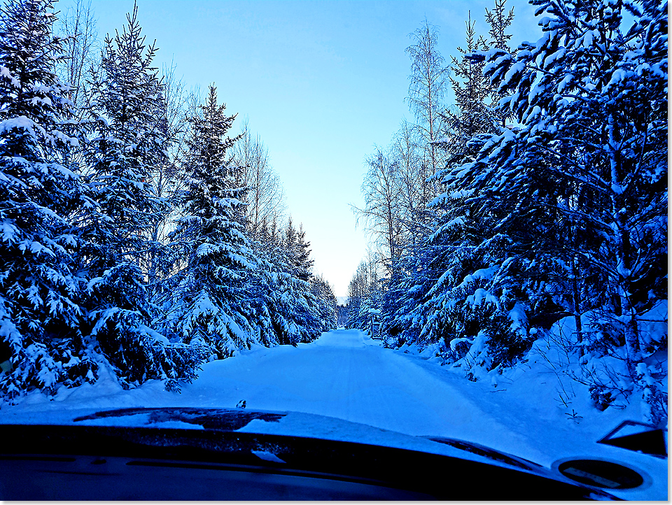 19217 19 Am Abreisetag Rueckfahrt durch den Wald nach Kotka