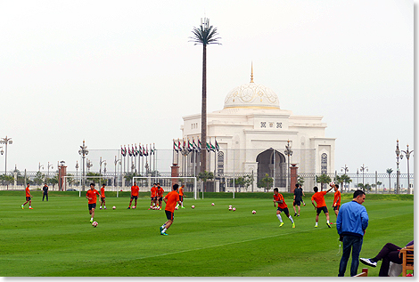 17302 Echter Rasen in Abu Dhabi P1020922 Foto Dieter Bromund