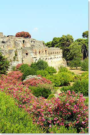 17309 MSC FANTASIA Neapel gruenes Pompeji 43 Foto Kai Ortel