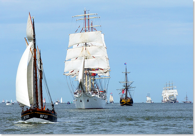 17311 Sail 2015 12082015 C Eckardt