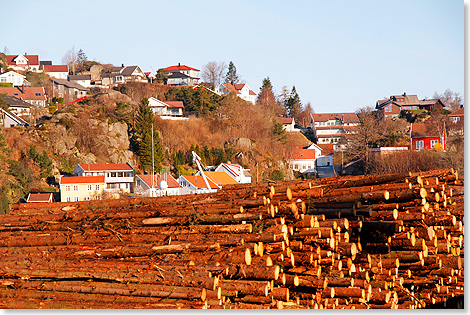 17318 PSW MS NORHOLM 147 Die Norweger haben immer noch viel Holz vor der Huette