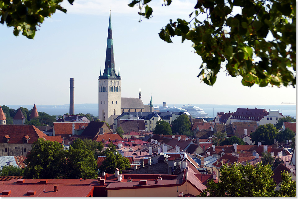 19307 08 Tallinn41 2018 Kai Ortel