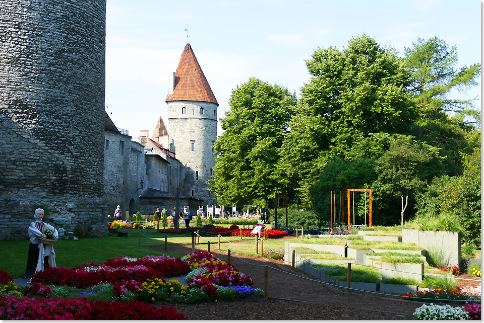 19307 10 Tallinn77 2018 Kai Ortel