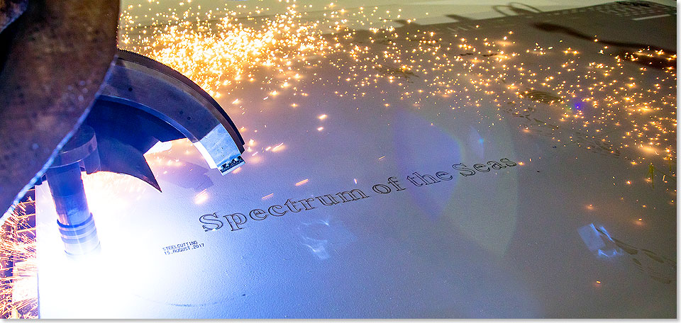 17404 Spectrum of the Seas Steelcutting Foto Meyer Werft