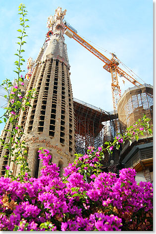 17407 Barcelona30 Sagrada Familia 2015 Kai Ortel
