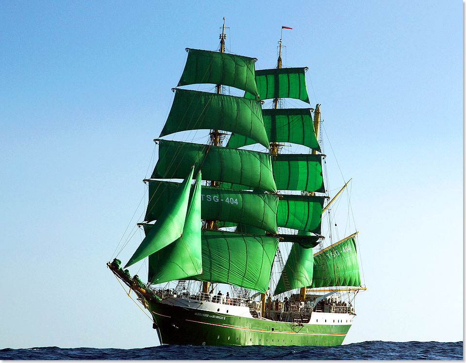 17411 Alex von Humboldt II Fotocopyright alex 2.de