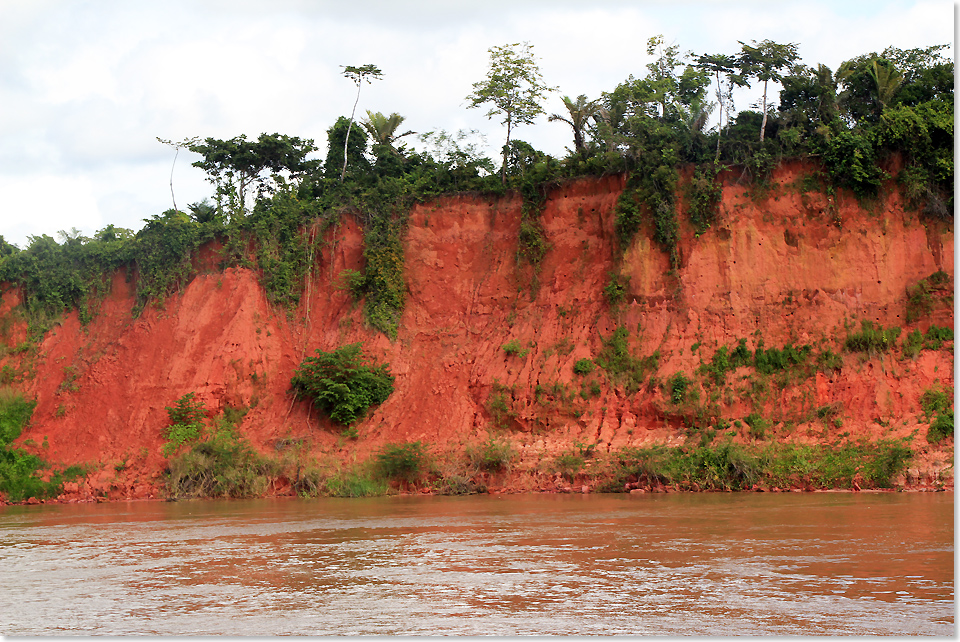 18409 PSW Amazonas Rio Negro Rio Branco 2018 246