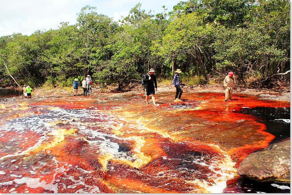 18409 PSW Amazonas Rio Negro Rio Branco 2018 363