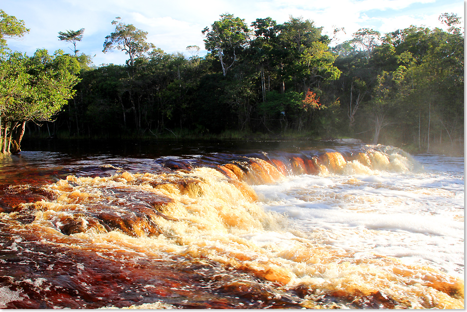 18409 PSW Amazonas Rio Negro Rio Branco 2018 538