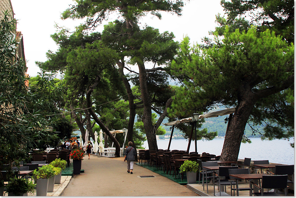 18508 PSW 64 Auf der suedlichen Uferpromenade von Korcula