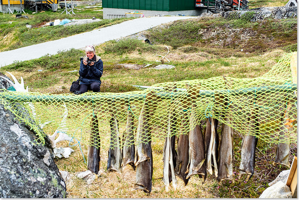 17608 Tag 6 Fiskenaeset Foto Sven Nieder