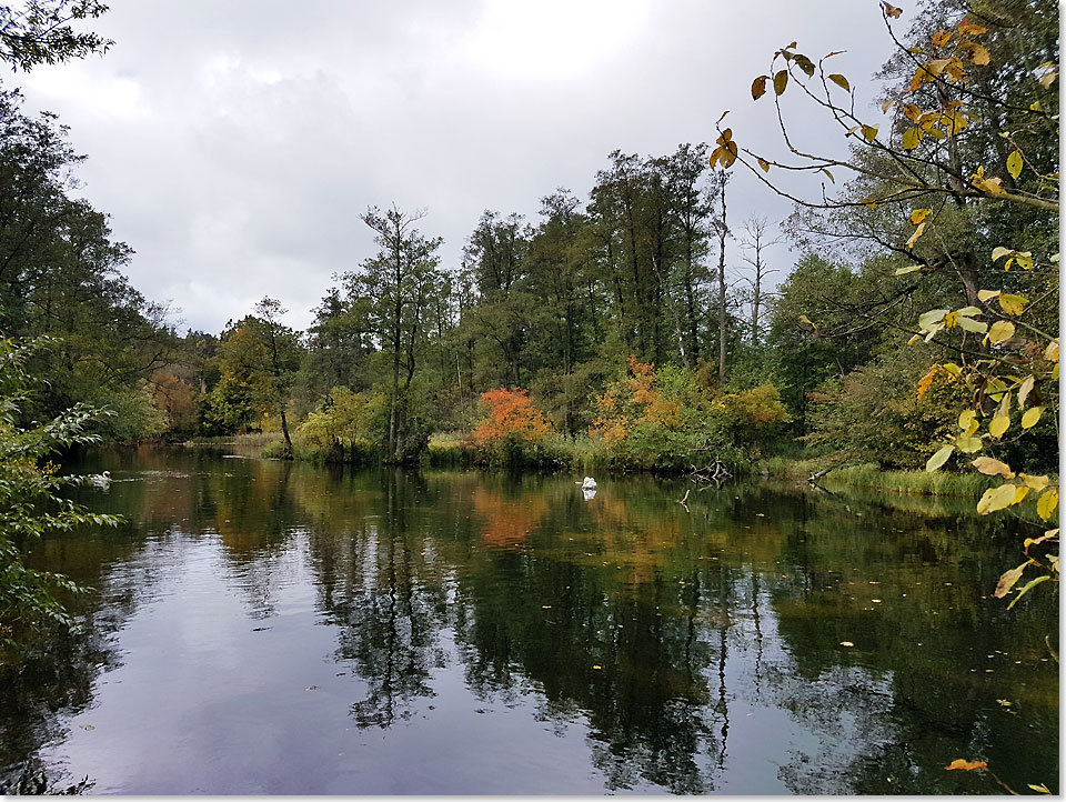 17617 PSW 35 Die idyllische Krutinna bei Krutinnen