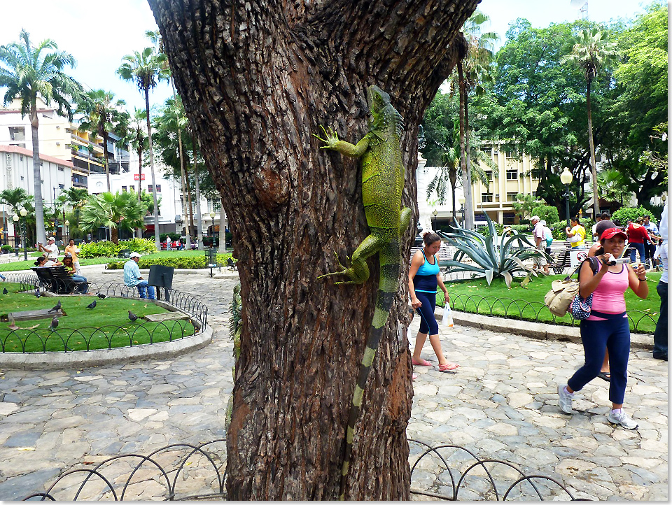 18605 P1020810 Lima Peru Foto Dr Auer Augsburg