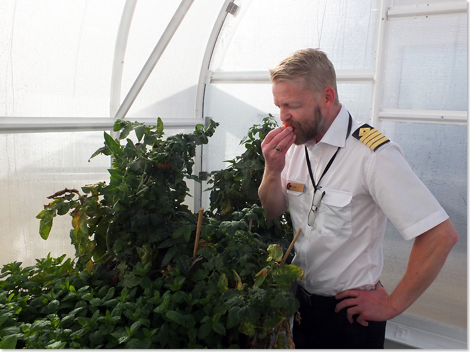 19607 Color Hybrid Kapitaen Jan Magnar Sollid testet die ersten Tomaten aus dem eigenen Gewaechshaus 13092019 C Eckardt 10