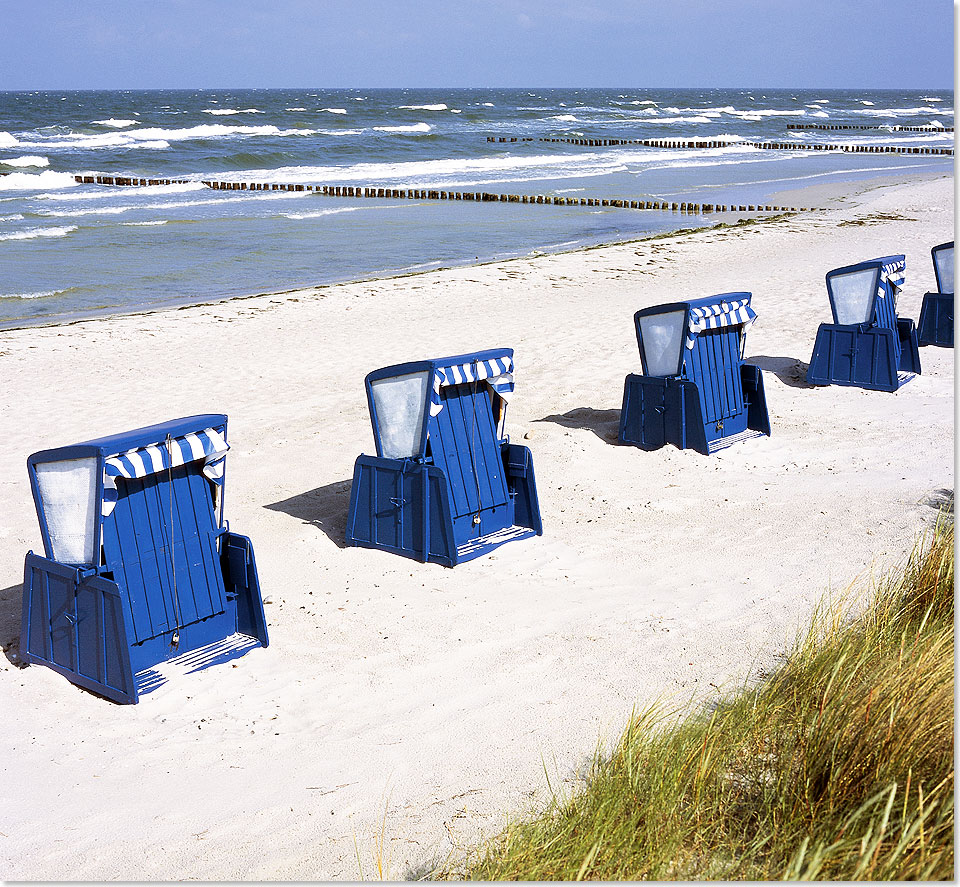 Foto: Dr. Peer Schmidt-Walther, Stralsund