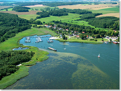 Foto: Dr. Peer Schmidt-Walther, Stralsund Foto: Dr. Peer Schmidt-Walther, Stralsund