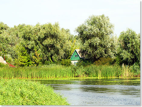 Foto: Dagmar Krappe, Schenefeld